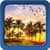 Palm Tree Live Wallpapers