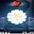Flower Decide