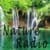 Free Radio Ambient And Nature