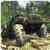 Truck Driver 3D Offroad Bridge