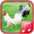 Chicken sounds app
