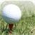 Golf Scores