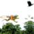 Flying Frog Game