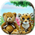 Teddy Hide n Seek