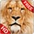 Animal Sounds And Photos for Kids