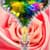 Rose Flower Zipper Lock Screen