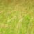 Nature Live Wallpaper 47