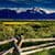 Mountain Field Live Wallpaper