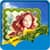 Latest Spring Photo Frames