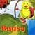 Bugsy
