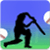 Cricket Hit
