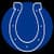 Indianapolis Colts Fan