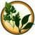 Jamaican Herbs