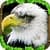Eagle Simulator personal