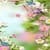 Beautiful Flowers Wallpaper Pic
