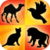 Animal Shadows