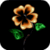 Clover Reflection Live Wallpaper