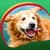 Retriever Live Wallpapers