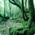forestscape