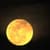 Nature Live Wallpaper 39