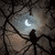  Dark World Lemur fearless