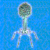 Bacteriophage Virus in 3D VR