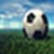 S3 HD worldfree wallpaper images