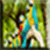 Birds Images App