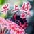 Good Morning Everyday Greetings in Chinese