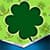 Best St Patricks Day Crop
