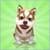 iHusky 3D Pet Lite