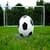 Goal Soccer