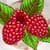 Raspberry Photo Collage