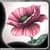 Best Fantasy Flower Live Wallpapers