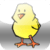 Chool Chiken