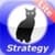 Cat Physics Strategy - Lite