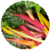 Benefits of Swiss Chard