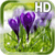 Spring Live Wallpaper HD Free