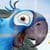 Rio 2 Jigsaw Puzzle 2