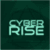 Cyber Rise: Business from scratch