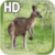 Kangaroo Australia LWP