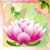 Lotus Photo Collage