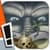 Kong: King of Skull Island - The Graphic Novel