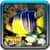 Coy Fish HD Wallpaper