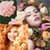 Adorable Roses Photo Collage