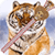 Lion Zipper Lock Screen