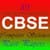 12th cbse computer science past papers