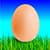 Simulation Eggs Game