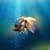 Goldfish In Your Pocket Live Wallpaper
