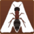 Ant Road